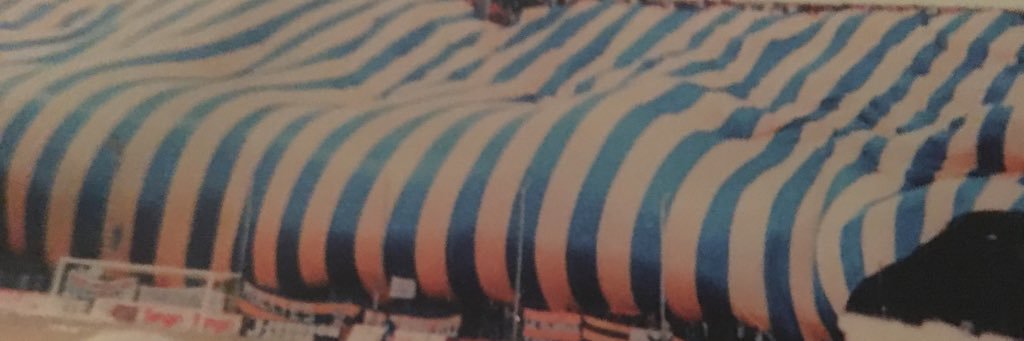 Emi crisci banner