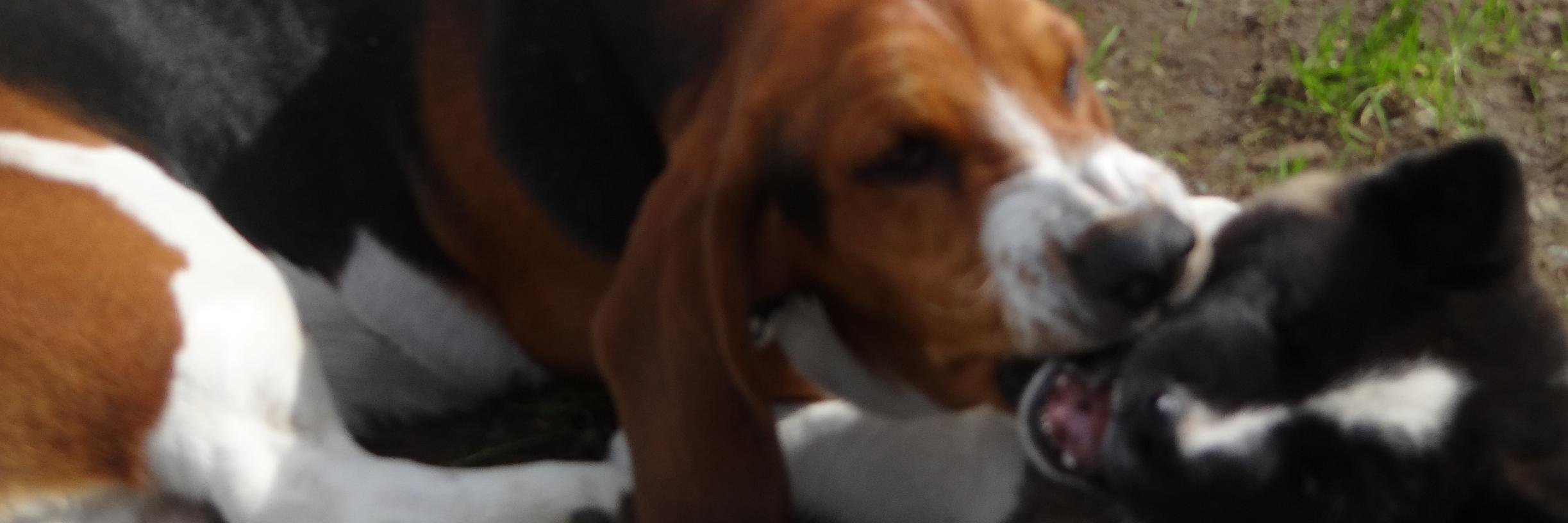 Parrin_'s profile banner image