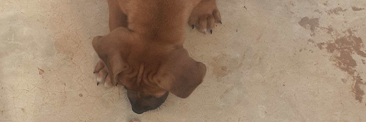 Christsnature's profile banner image