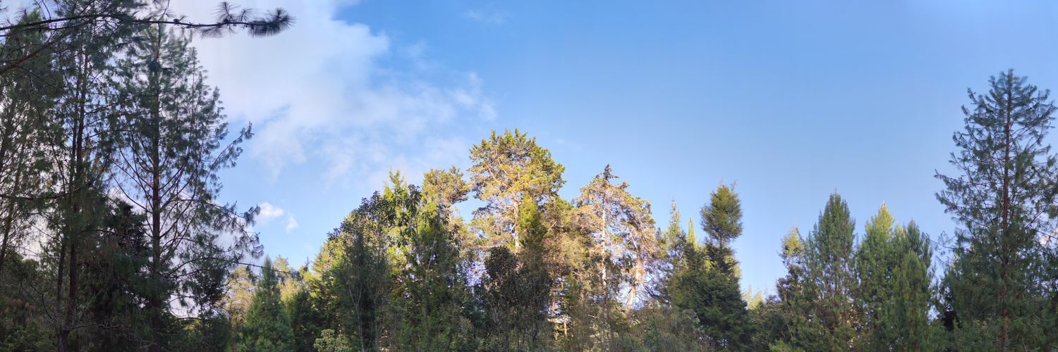 ovimike's profile banner image