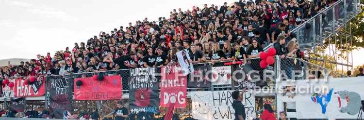 Barstool Springdale banner