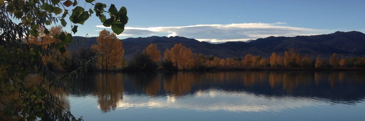 Morgan Franke banner