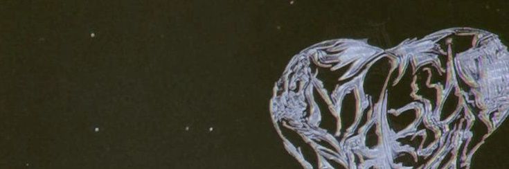 lola black banner