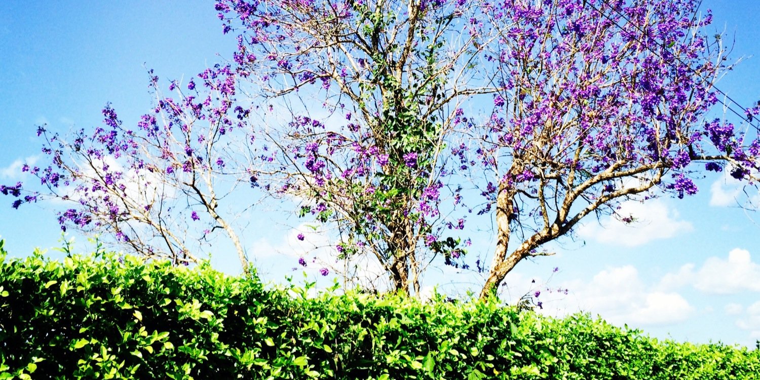 nataliampc's profile banner image