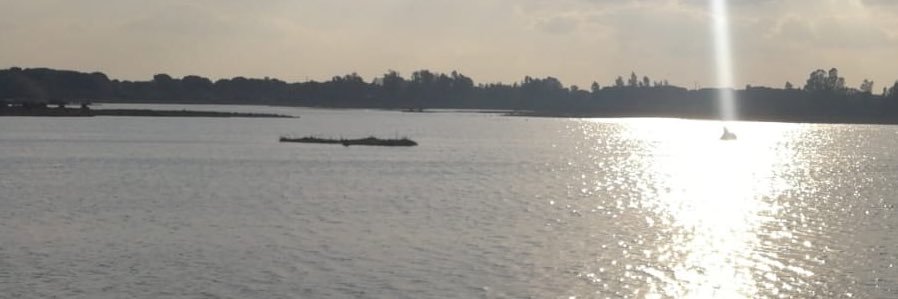ReyeesLuna's profile banner image