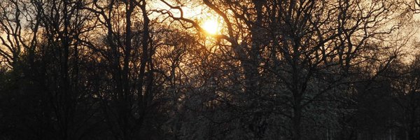 ClaraRdrgz Profile Banner