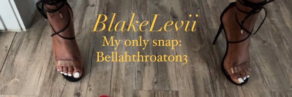 BlakeLevii Profile Banner