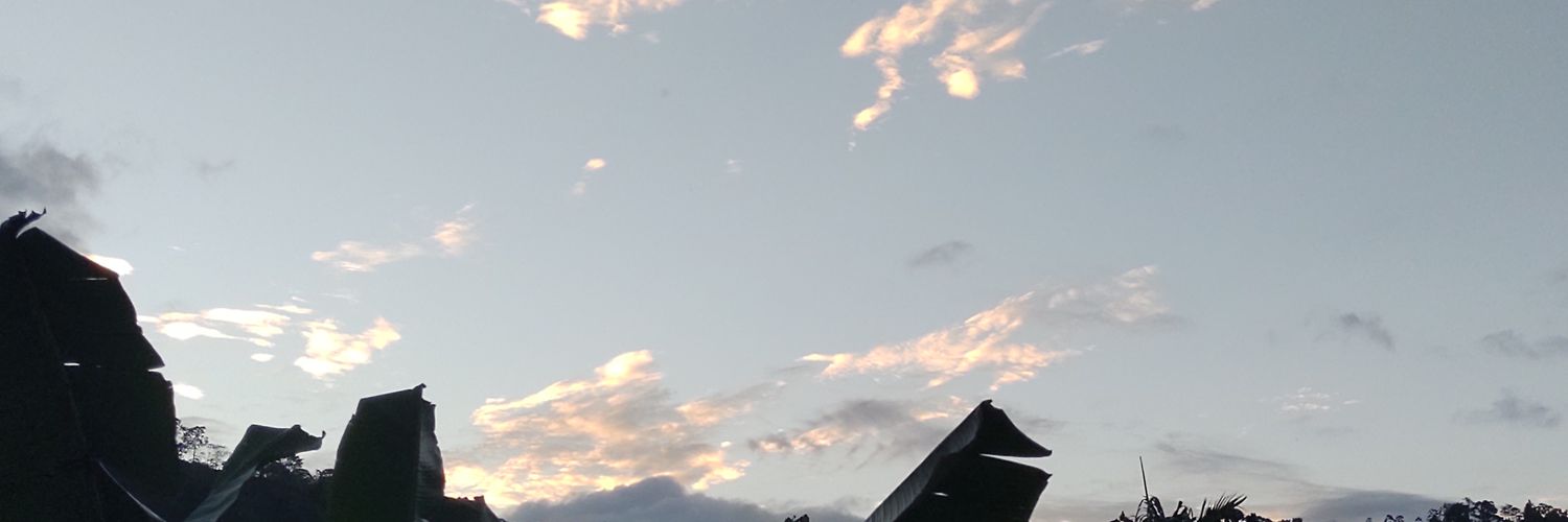 Jcalalv_'s profile banner image