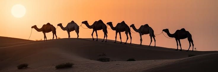 ّفـــراج banner