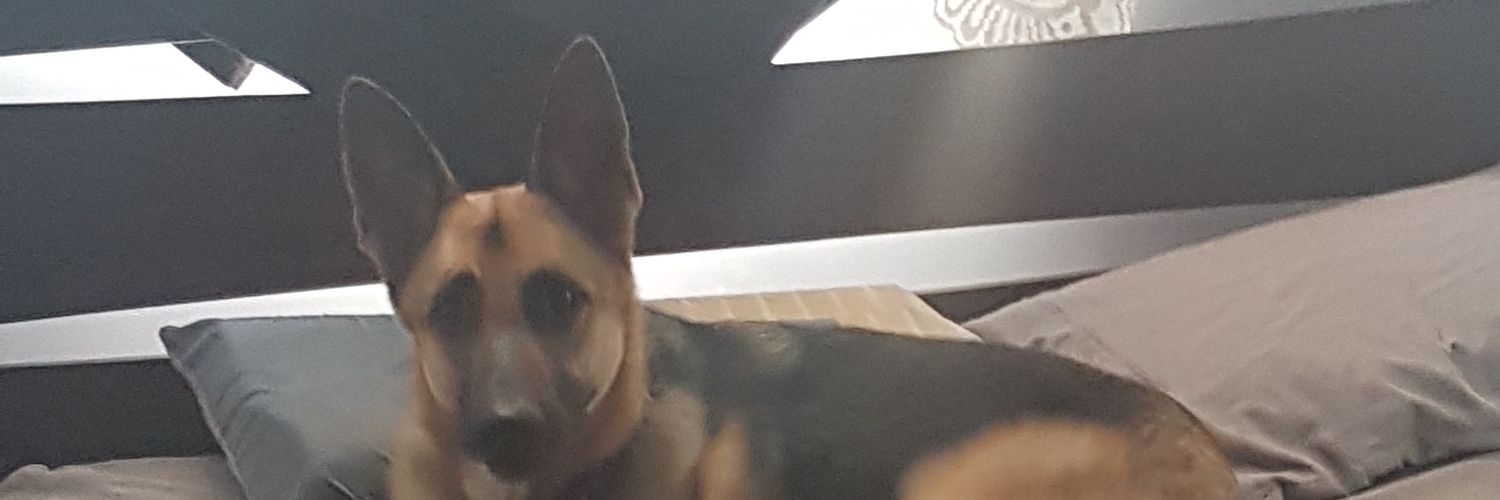 NathanM1871's profile banner image