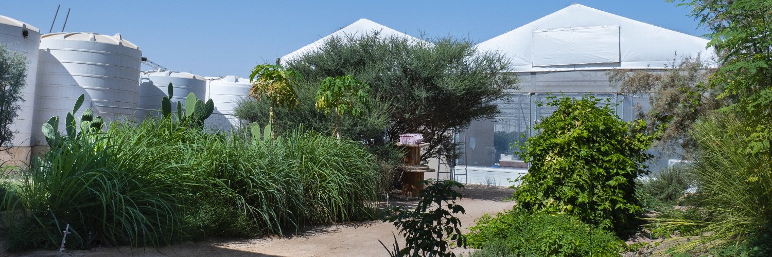 SaharaForestProject banner