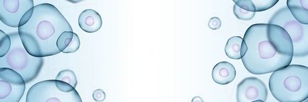 MirjamBelderbos's profile banner image