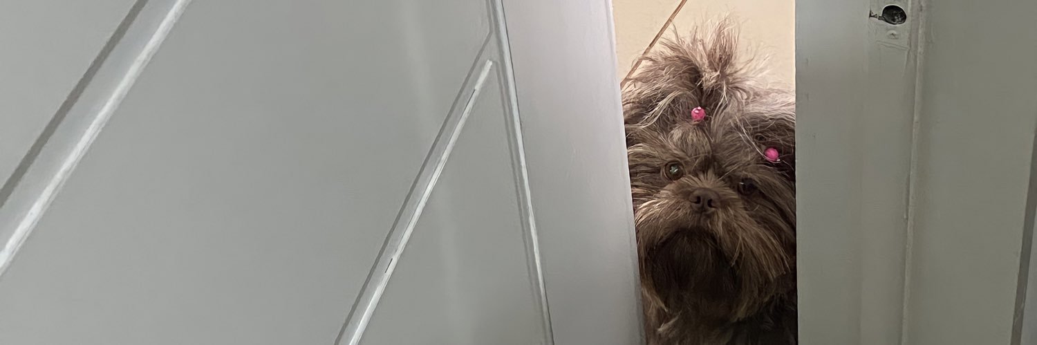 Joaogbrayner's profile banner image