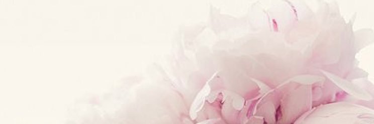 Amber Crowe banner