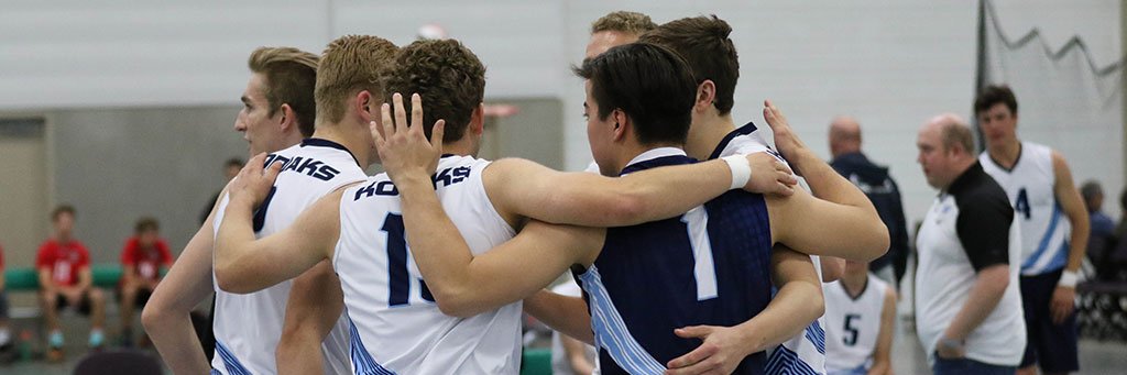 LVCVolleyball's profile banner image