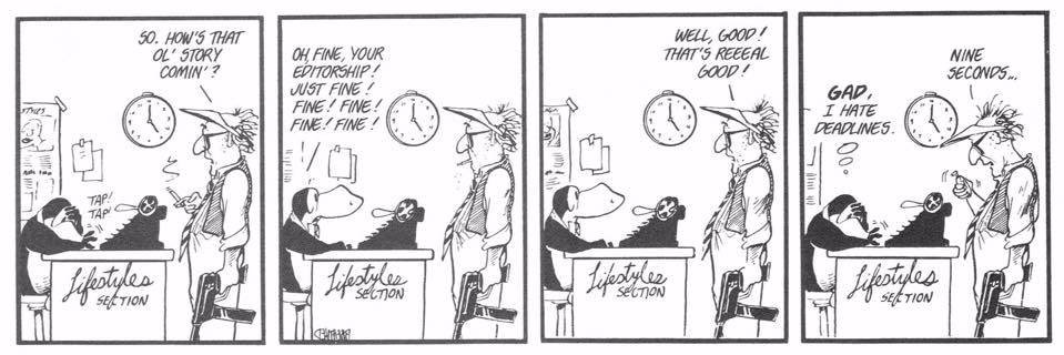 Jennifer Guadarrama banner