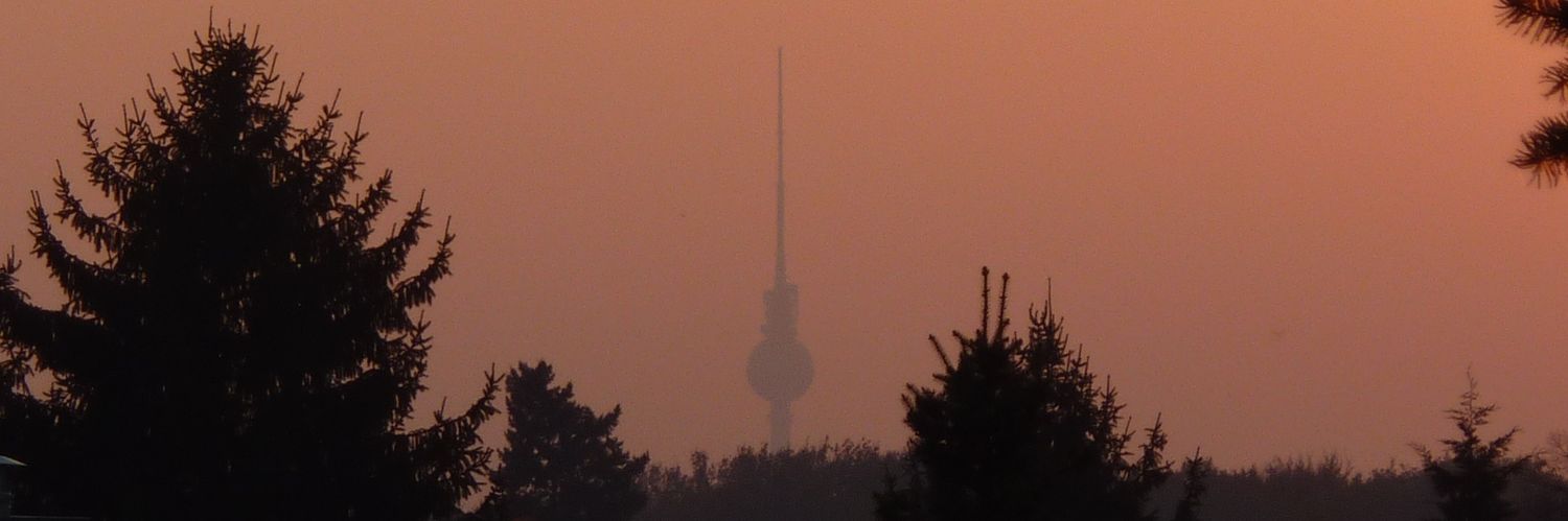 Daniel77Berlin banner