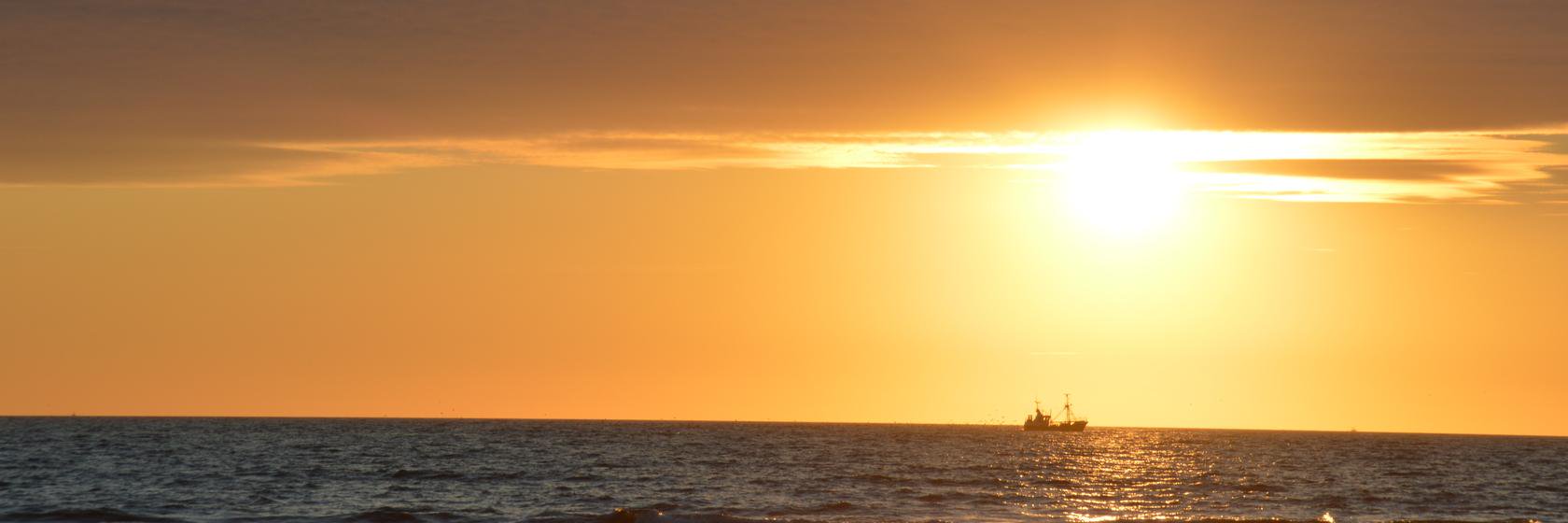 bassteins's profile banner image