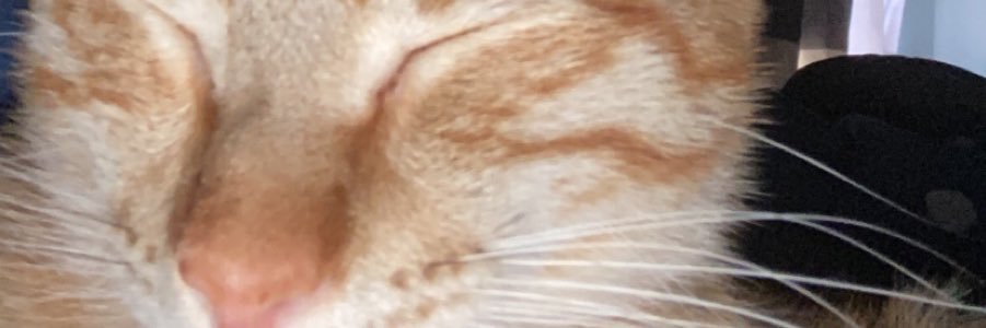 KekiJohnson's profile banner image