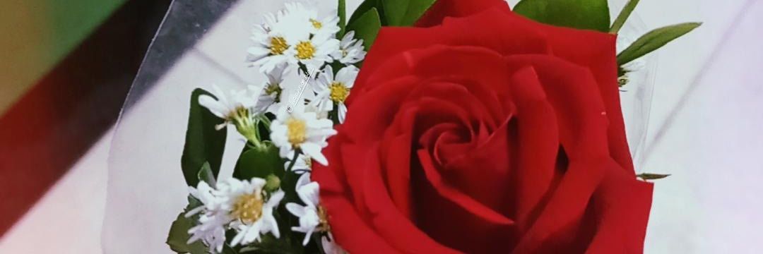JustingridPena's profile banner image