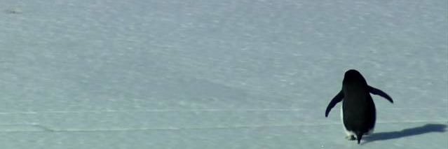 average joe (the unkindled one) banner