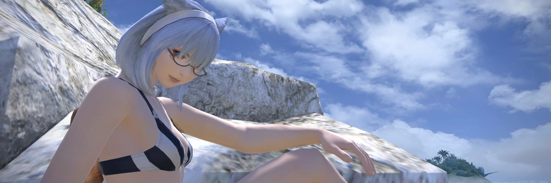 aoinyanko's profile banner image