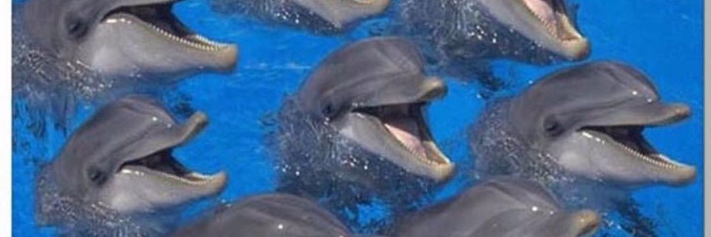 Squadproblems_'s profile banner image