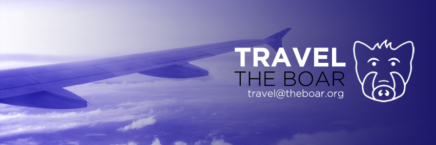 The Boar Travel ✈️ banner