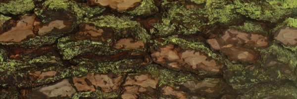 RennerCS Profile Banner