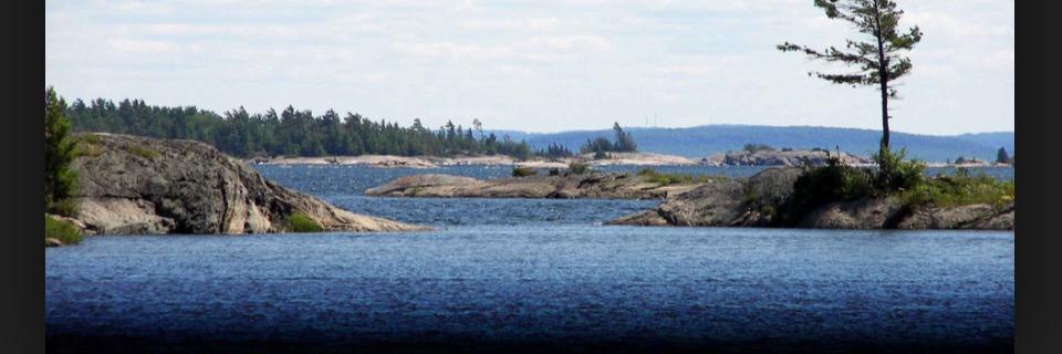 litrocs's profile banner image