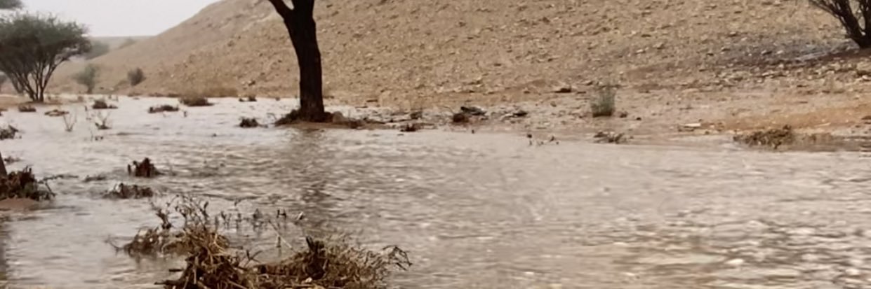 hsomali2's profile banner image
