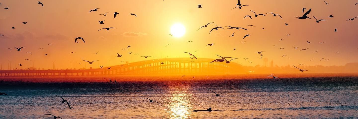 CoachGRODZ3's profile banner image