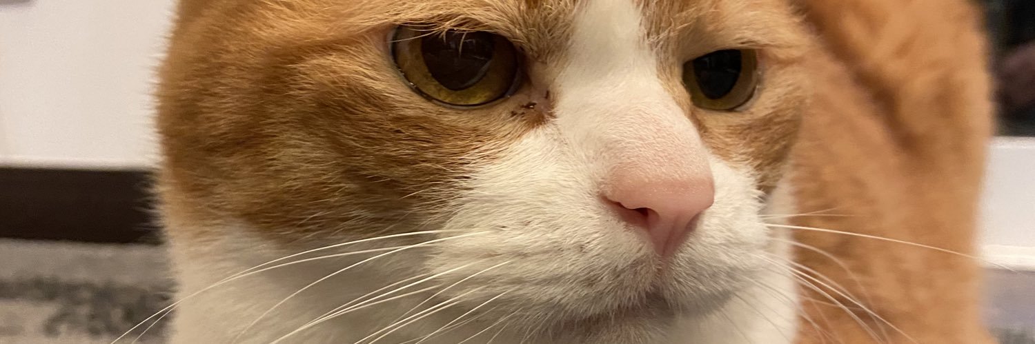 kawaikuiku's profile banner image
