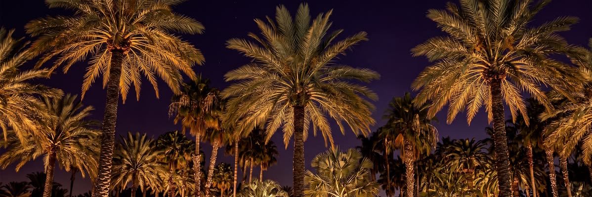 شِريان banner