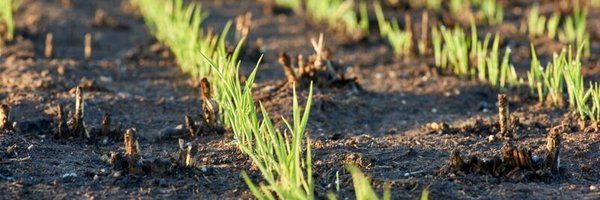 GrowerService Profile Banner