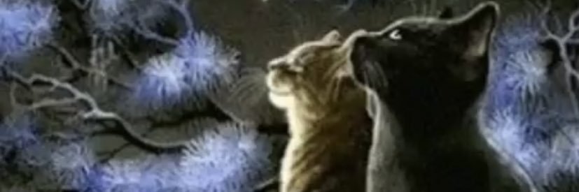 jessipg1's profile banner image