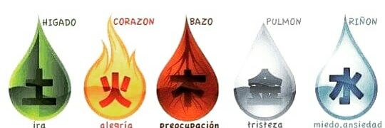 concepciohuizar's profile banner image