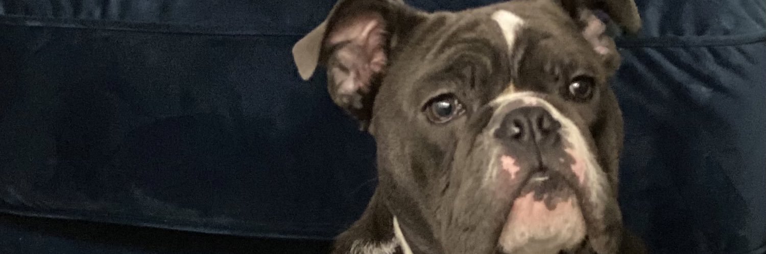 davooka's profile banner image