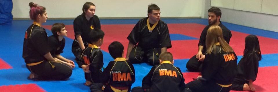 Browns Martial Arts banner