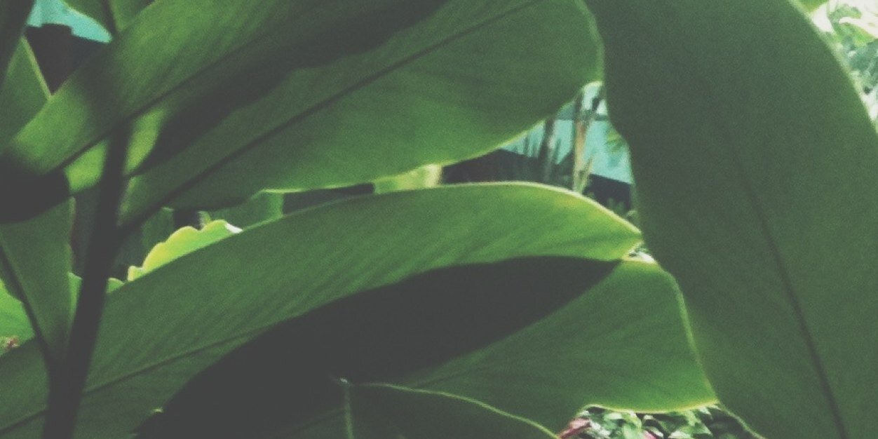 rusedh's profile banner image