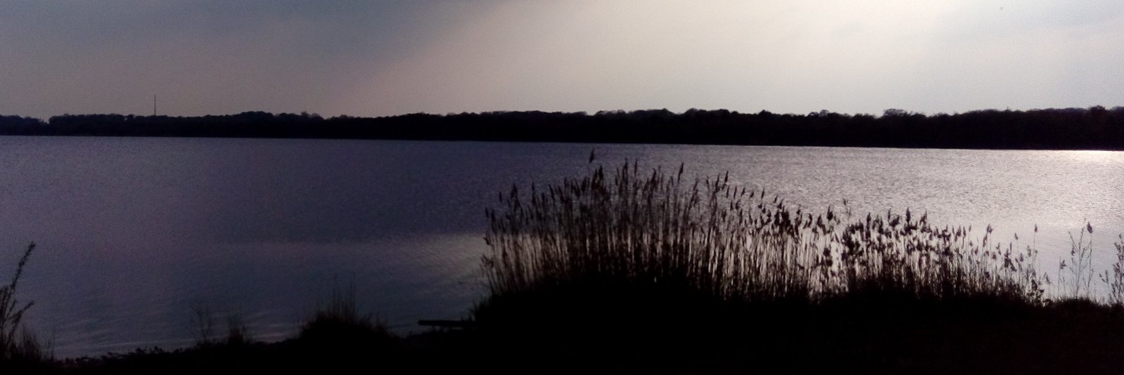 Yarujin / Taka banner