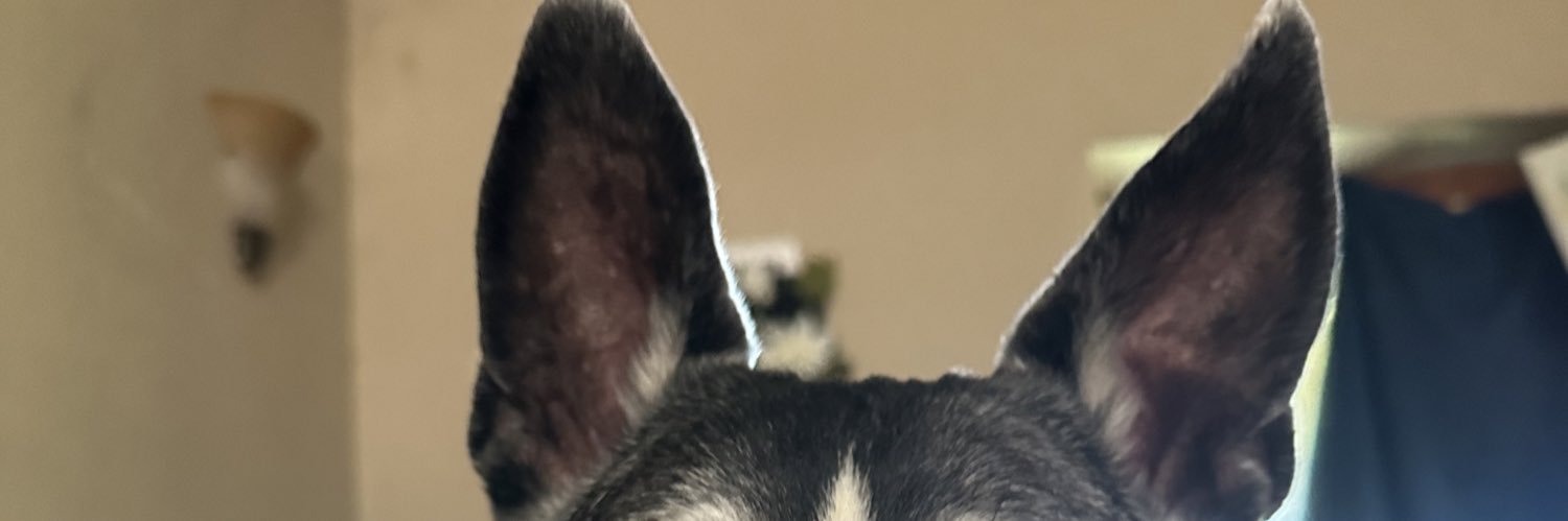 Mommah banner