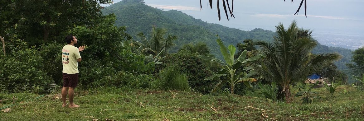petercorazo's profile banner image