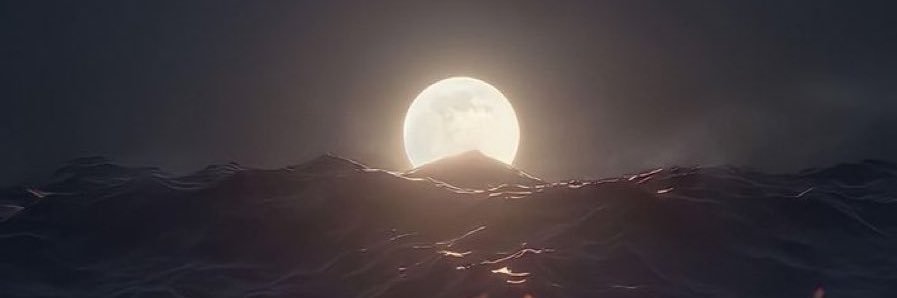 Shkoa_'s profile banner image