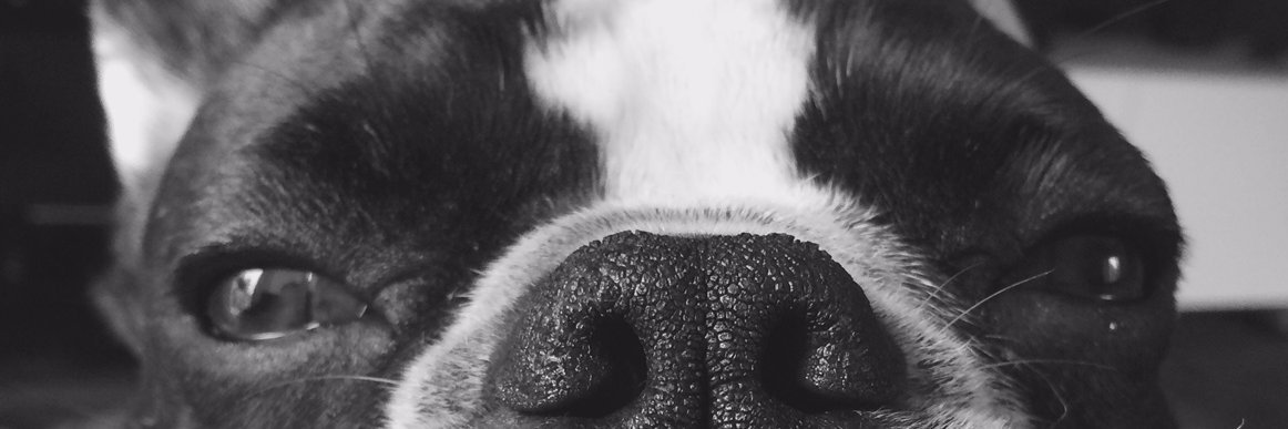 iamJTWood's profile banner image