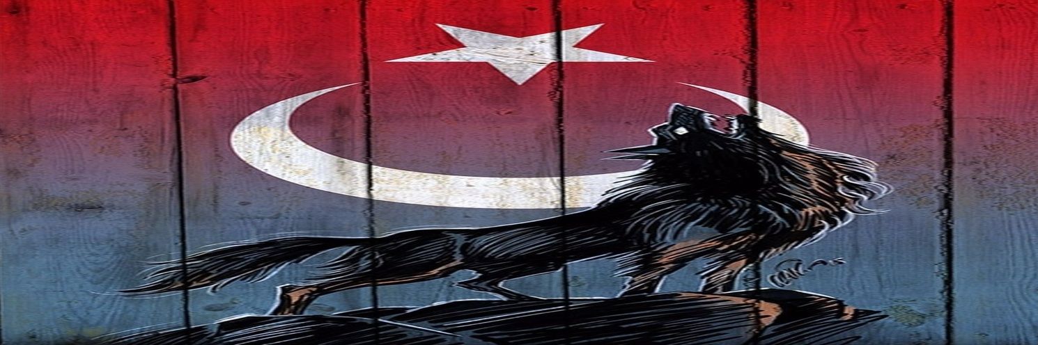 VetUmutt's profile banner image