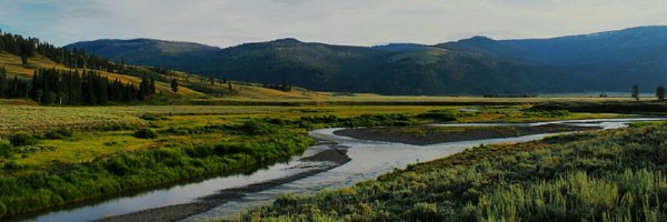 nate_dal64 Profile Banner