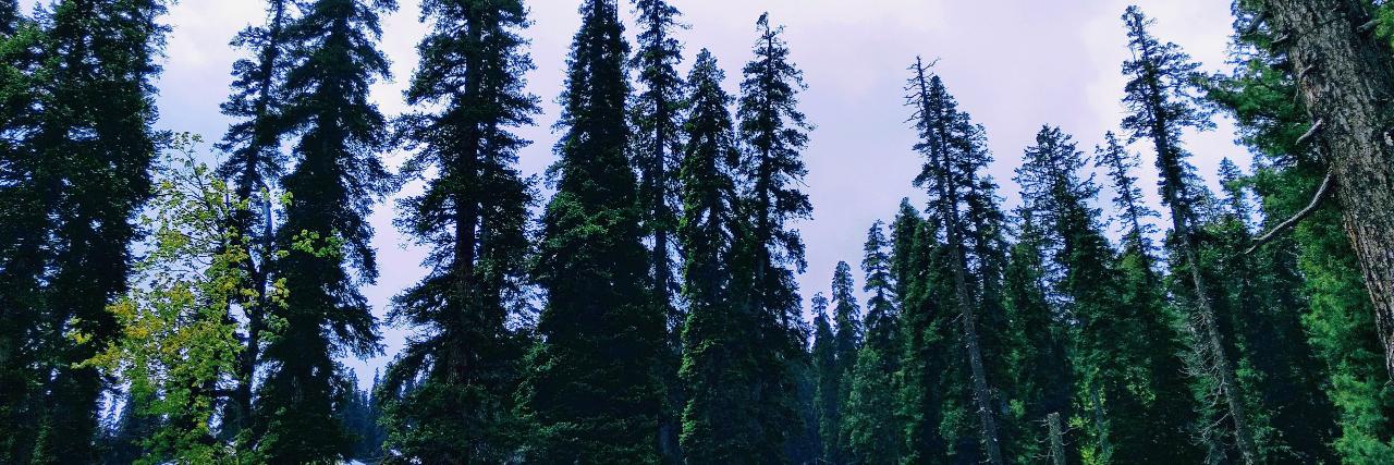 SomyajeetS's profile banner image
