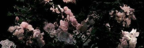 Liyahluddin's profile banner image