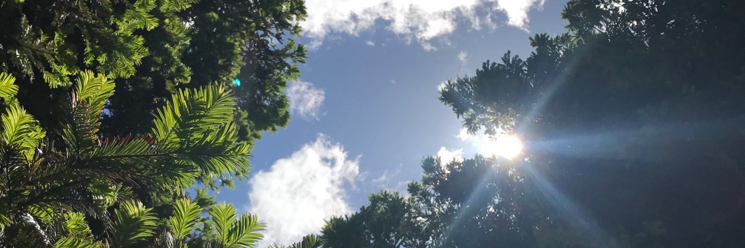 Bam_Beenoo's profile banner image